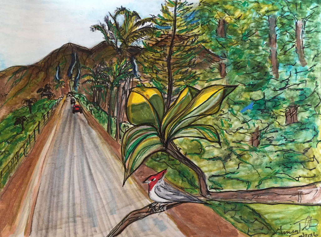 Sketch entitled, "After the rain."  Kauai 2016